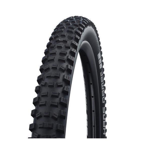 y[J[izyK㗝XizV(SCHWALBE) ^C nX_v Performance 29x2.35uv