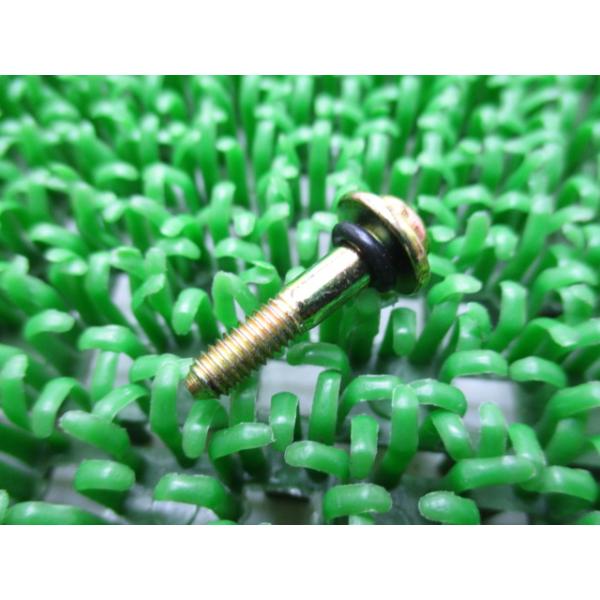 カワサキ（Kawasaki） ZRX1200ダエグ スクリューボルト 在庫有 即納