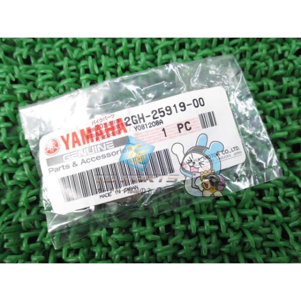 XJR1200 フロントブレーキサポートパッド 在庫有 即納 ヤマハ 純正 新品 バイク 部品 在庫有り 即納可 車検 Genuine FZR400 FZR1000 TRX850 FJ1200 FZ750 gF