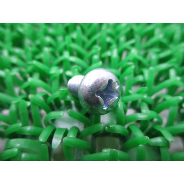 pXN[ ݌ɗL [ z_  Vi oCN i ݌ɗL [ 6X10 Ԍ Genuine 97