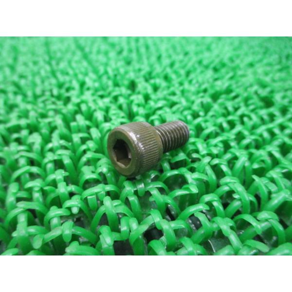 XyCV[250 nhXCb`{g ݌ɗL [ z_  Vi oCN i Ԍ Genuine Vo[ECO S[hECO 50