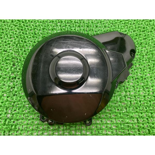 カワサキ（Kawasaki） ZRX400 エンジンカバー 315A 純正 新品 バイク