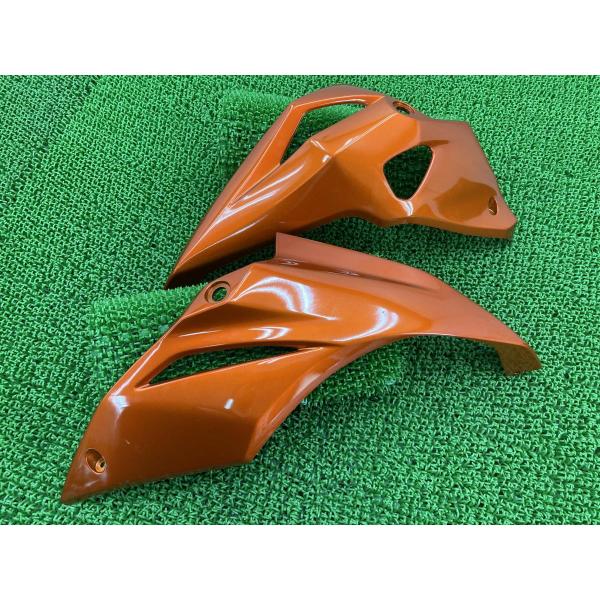 Z1000 アンダーカウル 橙M 55028-0494/55028-0495 カワサキ 純正 バイク 部品 ZR1000F ZRT00F 55028-0494 55028-0495 品薄 【中古】 5 ts-parts_22230286