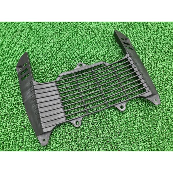 XT660R ラジエターカバー 5VK ヤマハ 純正 バイク 部品 VG5DM ラジエターガード 割れ欠け無し 品薄 希少品 車検 Genuine 【中古】 15 ヤマハ発動機 XT660R ラジエターカバー 5VK ヤマハ 純正 中古 バイク