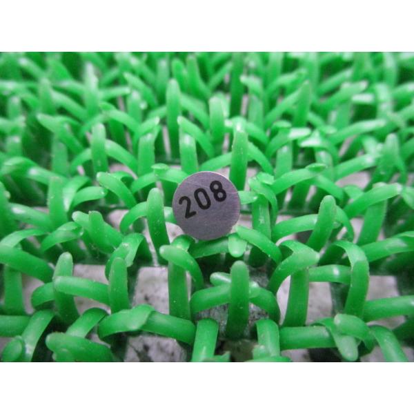 CB1300SF ^ybgV ݌ɗL [ z_  Vi oCN i CB1000R CB1100 X11 X-11 VFR750R VFR800F Ԍ Genuine tHc@ 12