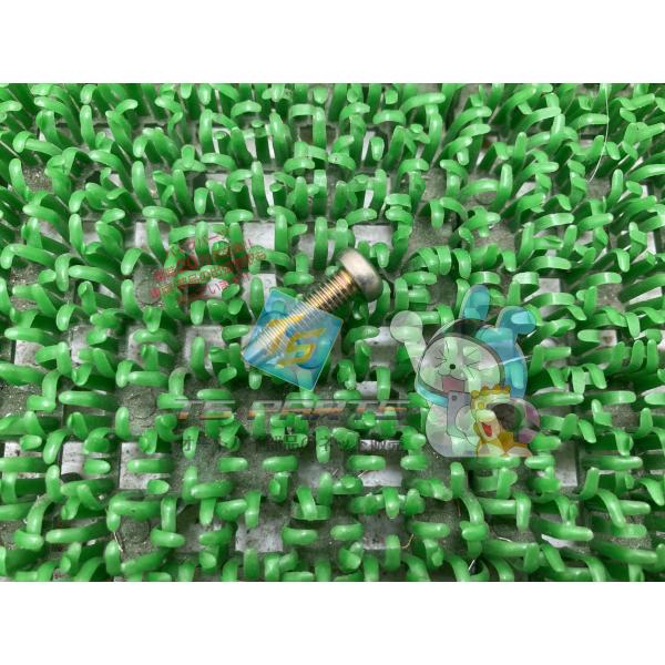 エストレヤ スクリュー カワサキ 純正 新品 バイク 部品 エリミネーター125 W400 W650 W800 バルカン400 在庫有り 車検 Genuine 250TR F9 14