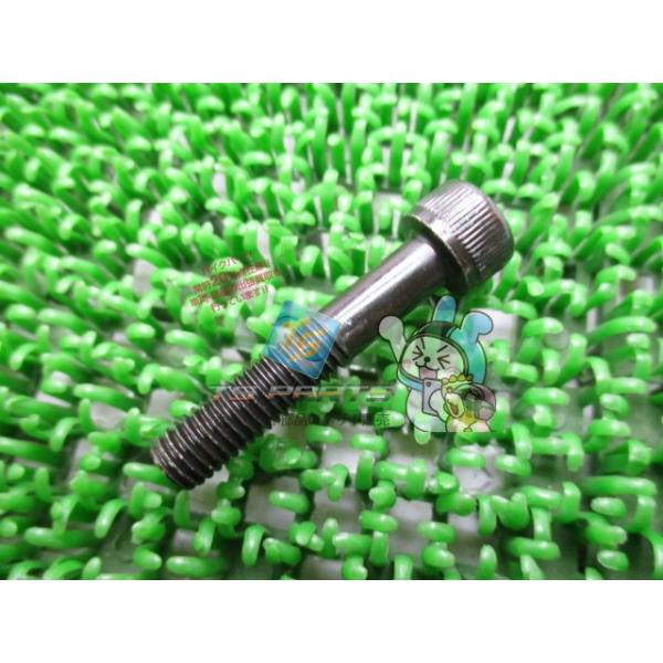 参考データ●メーカー：ホンダ●車名：CBR1100XX●共用車種：ブラックバード/ファイアブレード/NSR125R