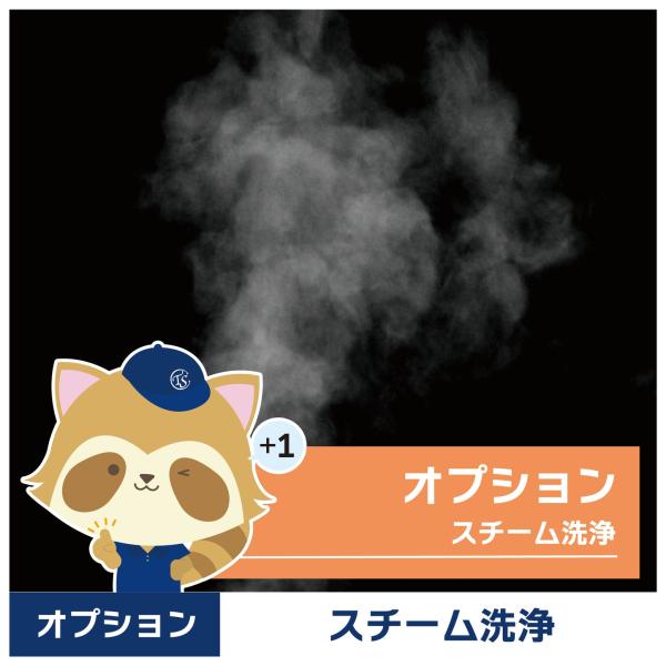 【スチーム洗浄のオプションについて】高温スチームでカビ・ホコリ・汚れ・臭いを徹底除去し、薬剤に頼らず抗菌・除菌・防臭効果を実現。お掃除機能付きエアコンにも対応し、内部までしっかり洗浄。ウイルス対策にも有効で、小さなお子様やペットのいるご家庭...