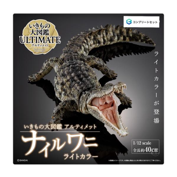 新品　未開封　2021年　旧カラー　いきもの大図鑑　アルティメット　ナイルワニ Amazon | いきもの大図鑑アルティメット ナイルワニ （ライト