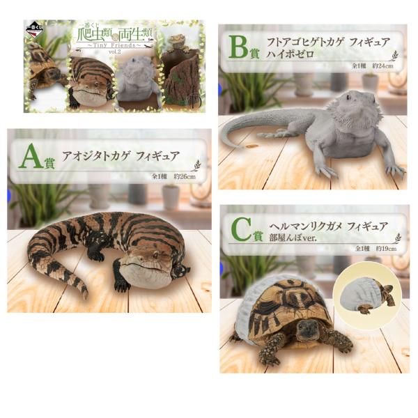 一番くじ 爬虫類＆両生類～Tiny Friends～vol.2 A,D賞セット 一番くじ 爬虫類＆両生類～Tiny Friends～vol.2｜一番くじ倶楽部