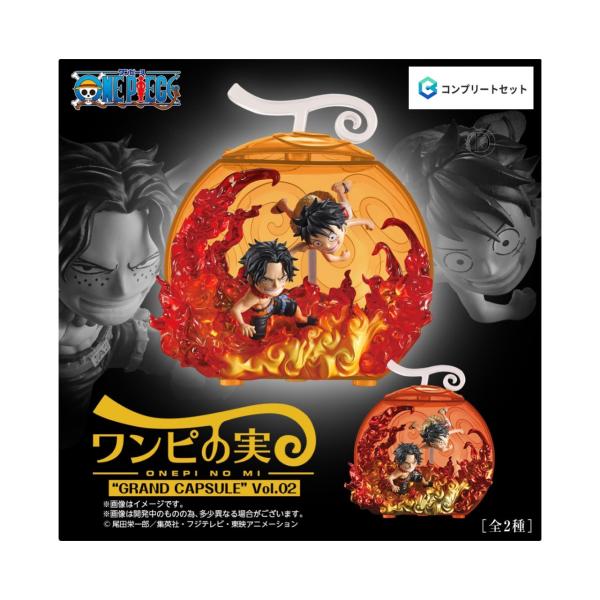 BANDAI（バンダイ） 【予約商品 2026年3月発売予定 】ワンピース From