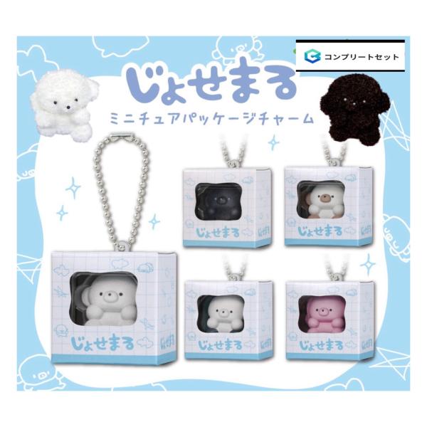 【予約商品 2026年11月発売予定 】 じょせまる ミニチュア パッケージ チャーム 全5種セット コンプセット カプセルは付属しておりません