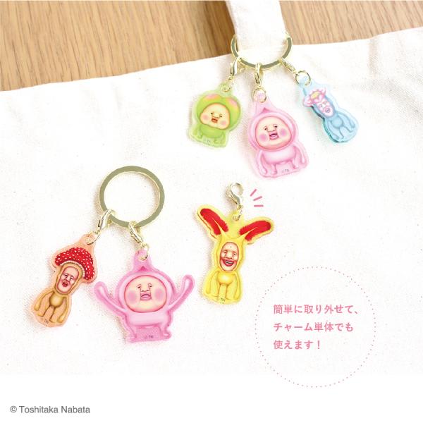 tsfa-shop_kd5546163-164