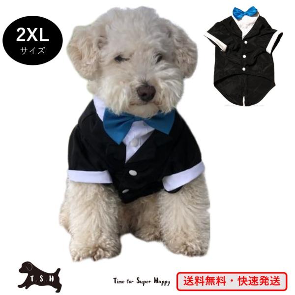 T.S.H ペット用タキシード（水色・2XLサイズ）犬　正装服　コスプレ衣装 ペット服 ペット帽 コスチューム 変装 ハロウィン パーティー ドッグウェア 可愛い