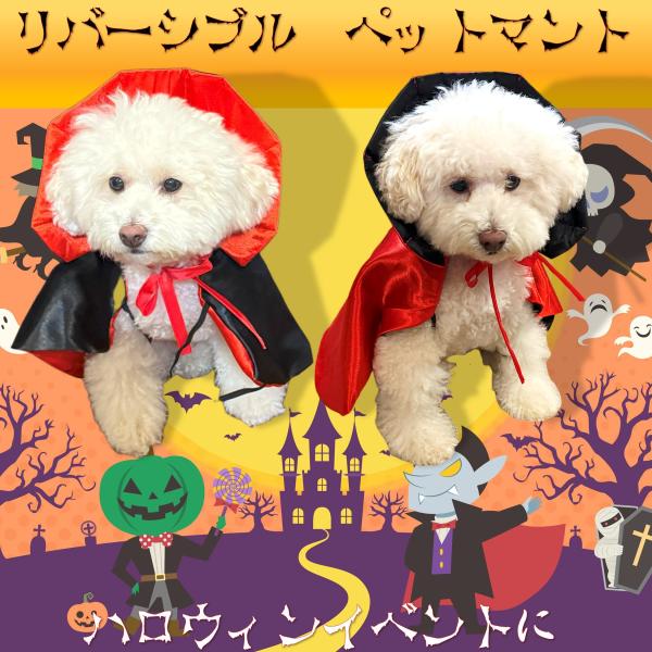 ペット　リバーシブルマント　ドラキュラ　吸血鬼　ハロウィン　クリスマス　パーティー　小型犬　超小型犬　猫　ペット イベント　SNS　コスチューム　衣装　