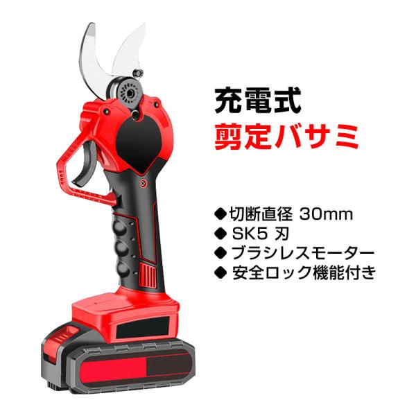 電動剪定バサミ切断径30mm 剪定バサミ 電動バサミ コードレス剪定バサミ Amazon | 充電式剪定ばさみ コードレス プロ 電動ハサミ 切断枝