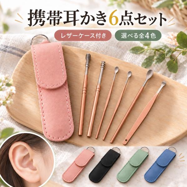 耳かき 6点セット ステンレス スプーン型 スプリング型 収納ケース付き 水洗い可 携帯用 コンパクト 耳掃除 旅行 出張 選べる4色