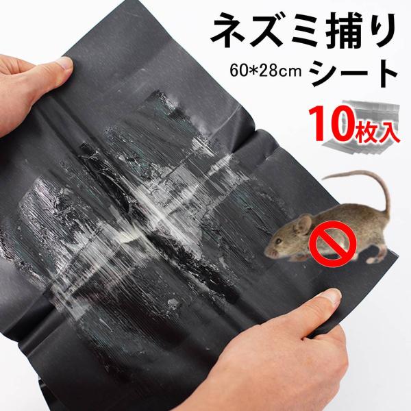 ネズミ被害にお悩みの方へ！ ナッツの香りでネズミを誘い込み、強力な粘着力で確実に捕獲します。折りたたみ式なので手を汚さず、コンパクトでかさばらないため、持ち運びや保管も簡単です。使用方法も簡単で、まずシートを閉じて粘着面を合わせて開き、その...