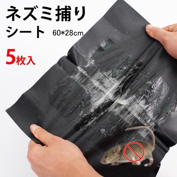 ネズミ被害にお悩みの方へ!ナッツの香りでネズミを誘い込み、強力な粘着力で確実に捕獲します。折りたたみ式なので手を汚さず、コンパクトでかさばらないため、持ち運びや保管も簡単です。使用方法も簡単で、まずシートを閉じて粘着面を合わせて開き、その上...