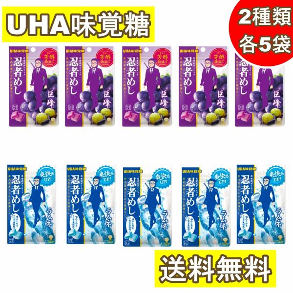 UHA味覚糖 忍者めし 巨峰 ラムネ 2種各5袋 アソート 食べ比べ 業務用