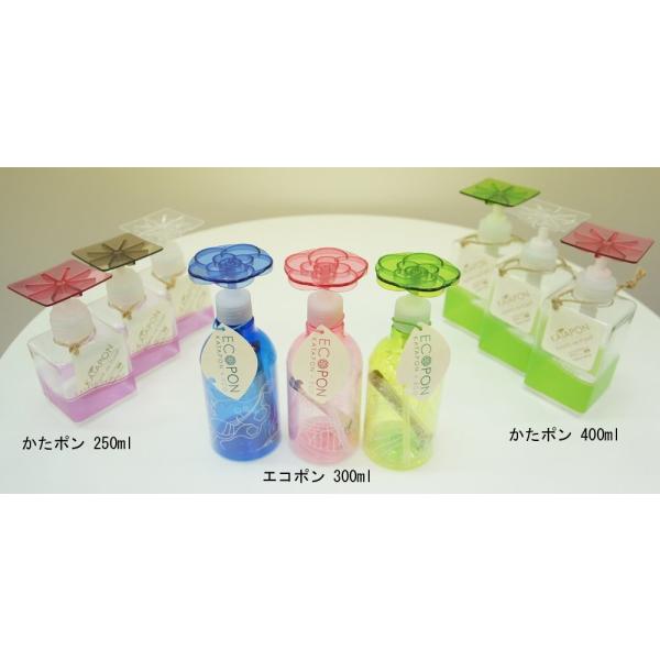 ☆ギフトセット４☆限定ボックス！☆エコポン☆魚スポンジ☆便利な 