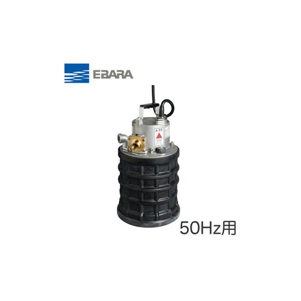 25EBQ5.4SA `쏊 crpz|v EBQ^ 40W P100V 50Hz JȂǂɂ^EZEȂǂ̍ЊQ΍ Go EBARA