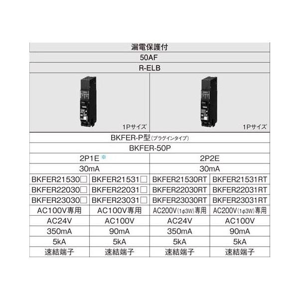 BKFER21531RT Panasonic J^b`Ru[Ju㎥ Rdیt t[F50AF R-ELB ɐfqF2P2E xdF30mA 15A AC200V(13W)p