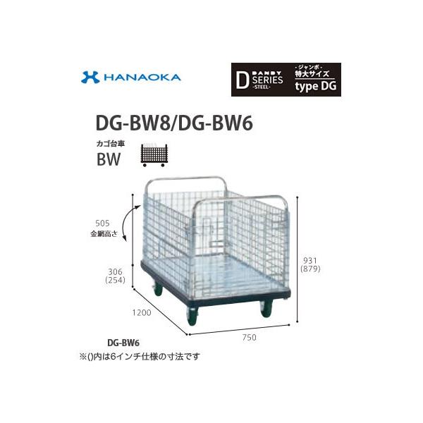 DG-BW6 @lp lzs ԉq  DANDY _fB DV[Y -W{- TCY Type DG JSBW 6C`ԗ