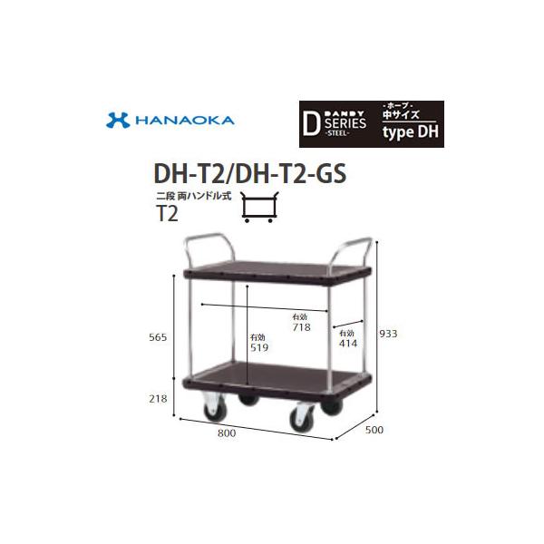 DH-T2 @lp lzs ԉq  DANDY _fB DV[Y -z[v- TCY Type DH inhT2 W