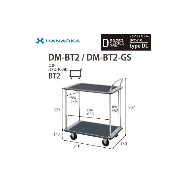 DM-BT2-DX @lp lzs ԉq  DANDY _fB DV[Y -Cg/~h- TCY Type DL iЃnhBT2 W