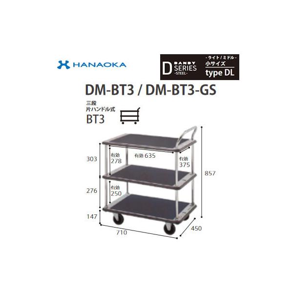 DM-BT3-DX @lp lzs ԉq  DANDY _fB DV[Y -Cg/~h- TCY Type DL OiЃnhBT3 W