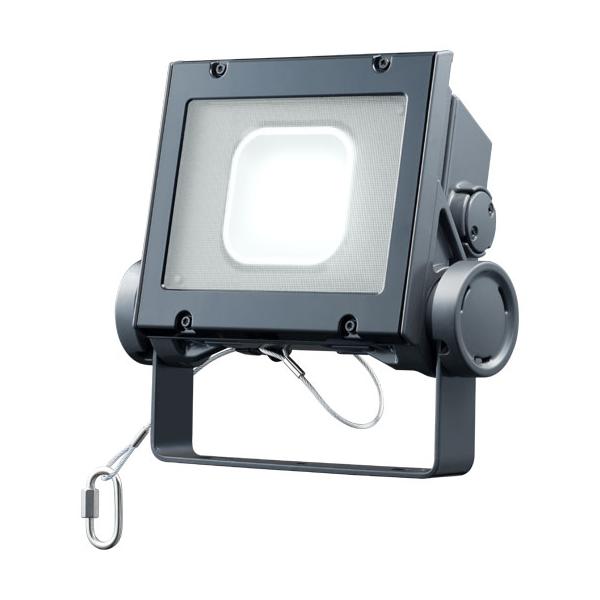 岩崎電気 ECF4040SW/NSAN8/DG LED投光器 レディオック フラッド ネオ  