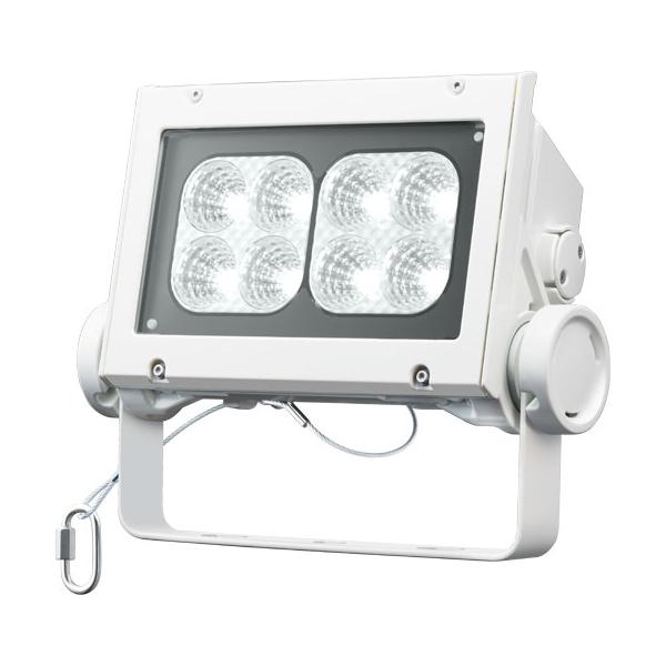 岩崎電気 ECF6040M/NSAN8/W LED投光器 レディオック フラッド ネオ 60  