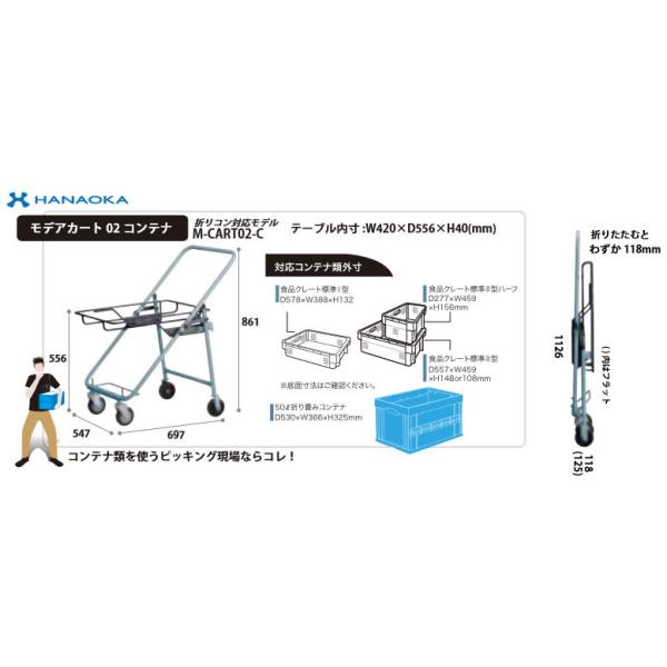 M-CART02-F @lp lzs ԉq  fAJ[gisbLOJ[gj e[u^Cv