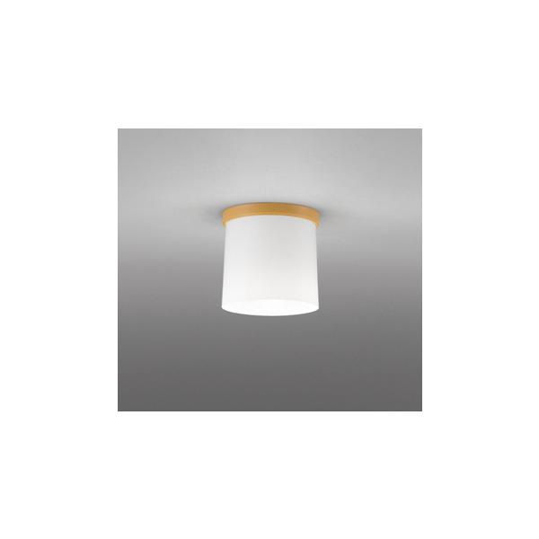 OL013007NR LED^V[OCg R15F NX2 M60W F 񒲌 vdCH I[fbN Ɩ VƖ L 