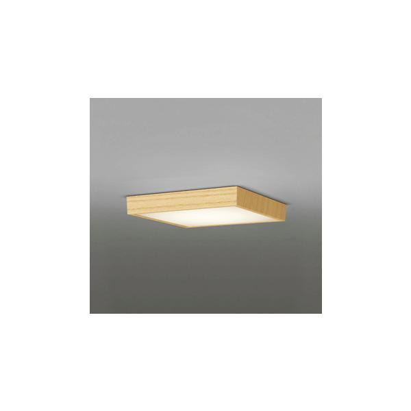 OL251743R LEDa^V[OCg FLAT PLATE [tbgv[g] LEĎ^ R15NX2 A dF FCL30W I[fbN  L a