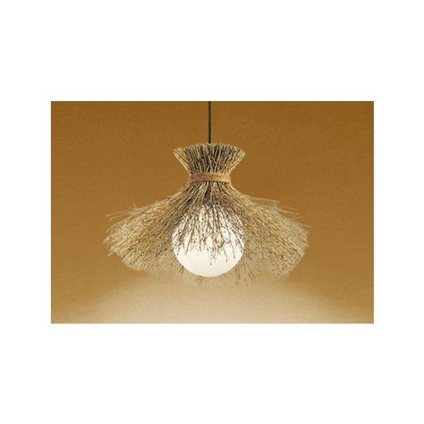 OP035303BR LEDay_gCg M60W R15F NX2 EF BluetoothΉ dCHsv I[fbN Ɩ