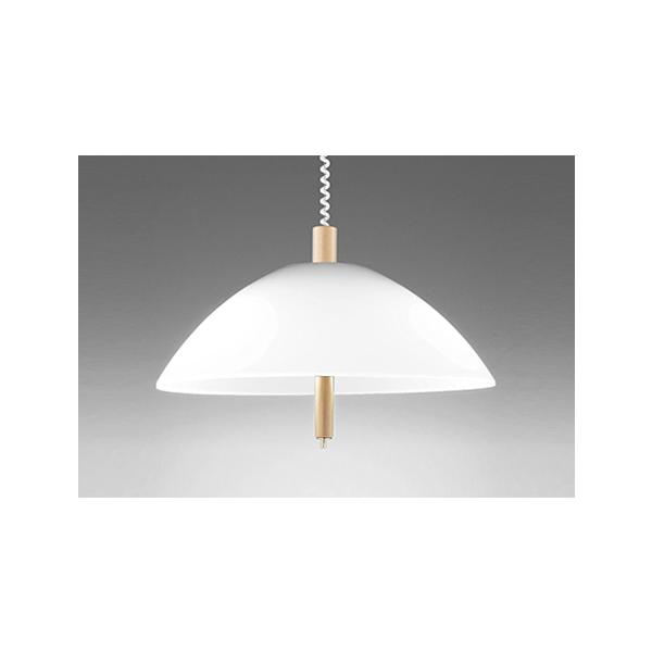 OP087150NR �蓮���~�^LED�y���_���g���C�g R15�����F �N���X2 ���M�����100W×2������ �����F �񒲌� �d�C�H���s�v �I�[�f���b�N �Ɩ���� �V��Ɩ� �݉���