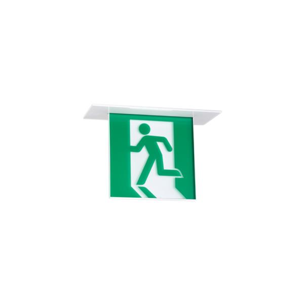 OR037513 LEDU V䖄 BBH` Жʌ^ I[fbN Ɩ X܁E{݌ pƖ