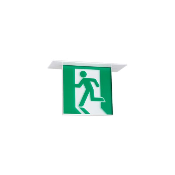 OR037514 LEDU V䖄 BBH` ʌ^ I[fbN Ɩ X܁E{݌ pƖ