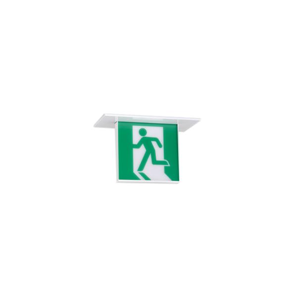 OR037534 LEDU V䖄 C ʌ^ I[fbN Ɩ X܁E{݌ pƖ