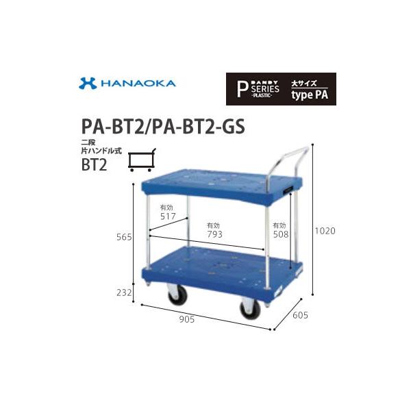 PA-BT2 @lp lzs ԉq  DANDY _fB PV[Y -PLASTIC- TCY Type PA iЃnhBT2 W