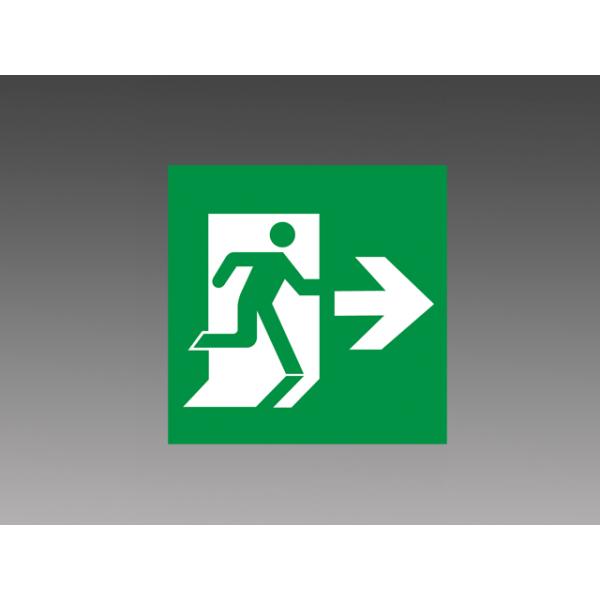 S1-2081AR hЏƖ Up\ Bp OHd@ {ݏƖ