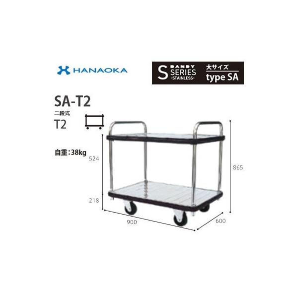 SA-T2 @lp lzs ԉq  DANDY _fB SV[Y -STAINLESS- TCY Type SA iT2