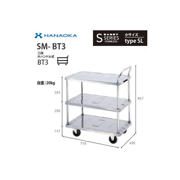 SM-BT3 @lp lzs ԉq  DANDY _fB SV[Y -STAINLESS- TCY Type SL OiЃnhBT3