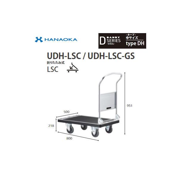 UDH-LSC-GS @lp lzs ԉq  DANDY _fB DV[Y -z[v- TCY Type DH ܂肽ݎLSC TCg