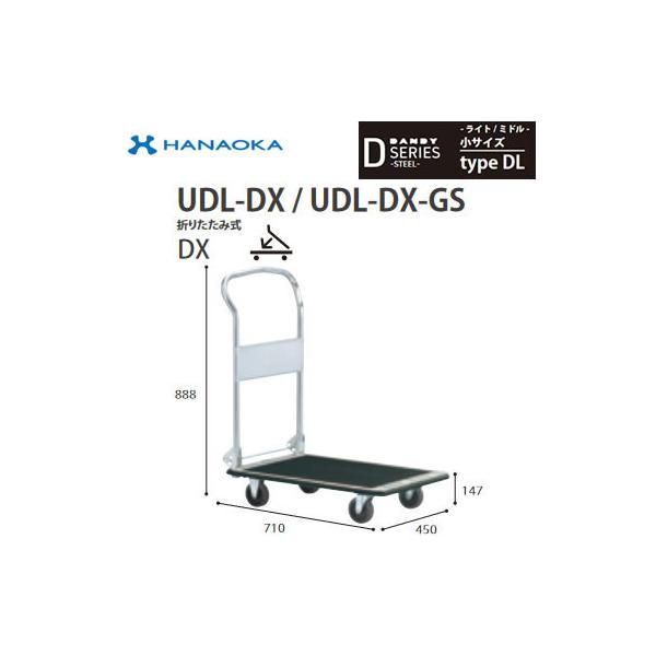 UDL-DX-GS @lp lzs ԉq  DANDY _fB DV[Y -Cg/~h- TCY Type DL ܂肽ݎDX TCg