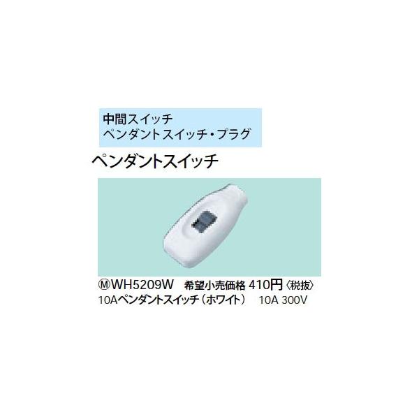 WH5209W 10Ay_gXCb` 10A 300V Panasonic dݎ p[\iz