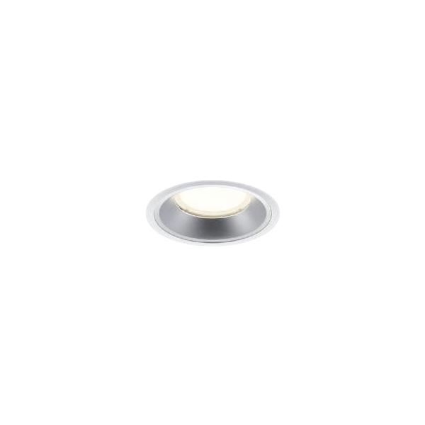 XD153508WM LEDx[X_ECg X-Pro 125 5500/4500lmNX HID100W ^ Vo[R[ F 55° Ή RCY~Ɩ {ݏƖ