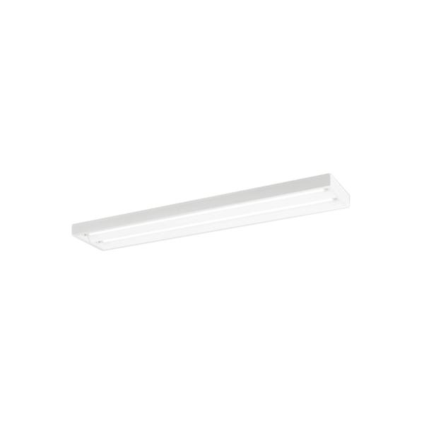 XL551091RE LEDx[XCg LED-TUBE R15F 40` t^ ʊJ^ W250 2p FL40W×2 БdEБz G13 񒲌 dF I[fbN